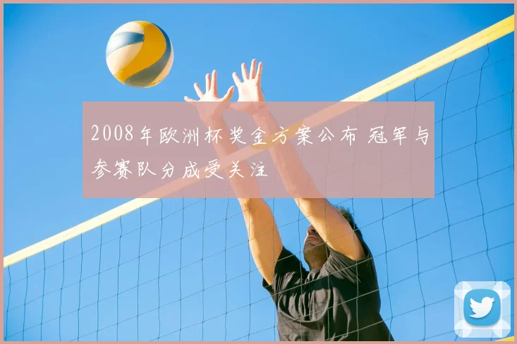 2008年欧洲杯奖金方案公布 冠军与参赛队分成受关注