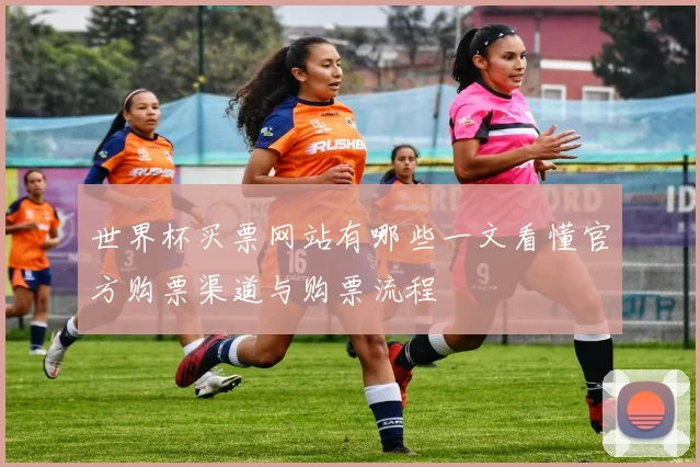 世界杯买票网站有哪些一文看懂官方购票渠道与购票流程