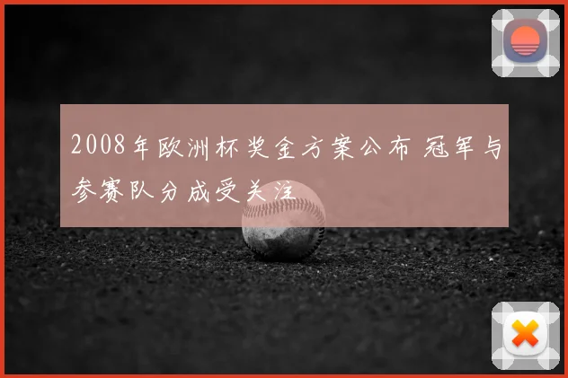 2008年欧洲杯奖金方案公布 冠军与参赛队分成受关注